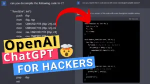 Hacking AI Teknik Fuzzing - AI underworld - budi pria panca - mengulas teknologi AI dari sudut berbeda